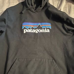 Men’s Patagonia Hoodie